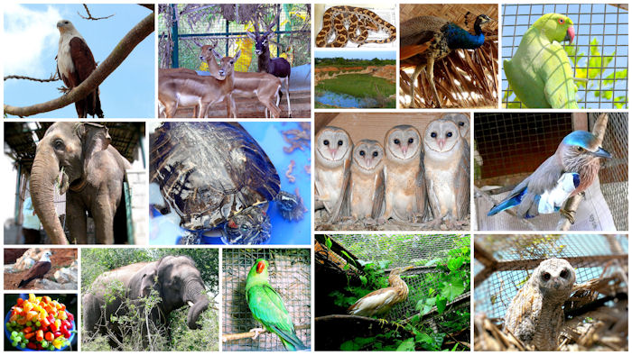 WRRC Bangalore